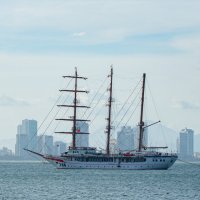 *** :: Николай Чекалин