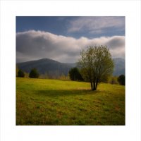 * :: Александр Иванов