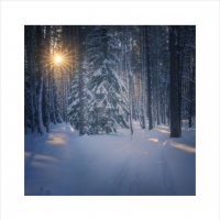 * :: Александр Иванов