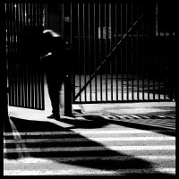 Раннее утро :: Сергей Премонишын