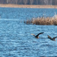 ****** :: Геннадий Порохов