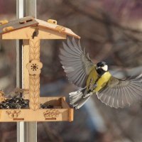 А так, красиво? :: Татьяна Бравая
