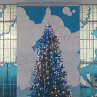 Это наша ёлка :: Дмитрий Никитин