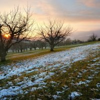 sunset :: Elena Wymann