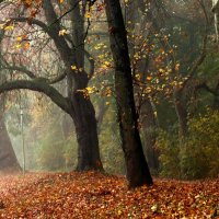 Осенний день опять гуляет в парке :: Юрий. Шмаков