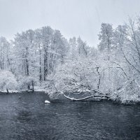 Про Питер :: Владимир Колесников