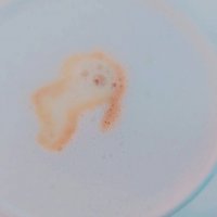 13  ОПЕН (700) :: OPEN WAYS ALL