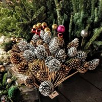 Рождественский букет :: Veera V