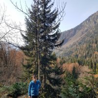 Абхазия :: Tata Wolf