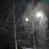 вечерний декабрь :: Виктор 