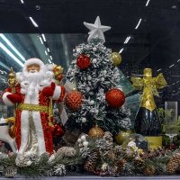 27 дней до Нового года :: Валерий Иванович