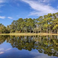 Озеро :: **** vedin