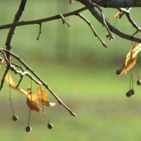 Эскиз :: Н.Н. Баранова