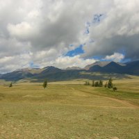 По Курайской степи :: Владимир Кириченко