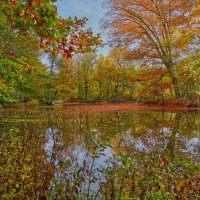 Пруд :: Jakob Dick