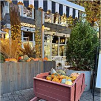 Осенний урожай. :: Валерия Комова