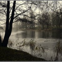 *** :: Aleksandr Gal