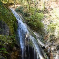 Природа Крыма :: Amazing Cosmea