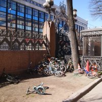 /// :: Виктор Никитенко