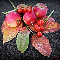 О натюрмортах поздней осени.. :: Андрей Заломленков