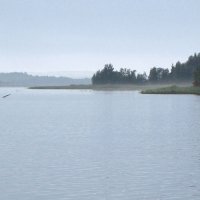 Шекснинское водохранилище :: Александр Ильчевский