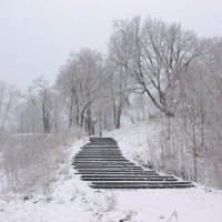 *** :: Сергей Григорьев