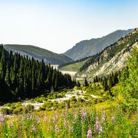 Б.А.К. :: HART BAD