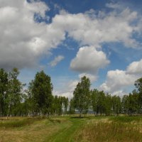 Родные просторы. :: nadyasilyuk Вознюк