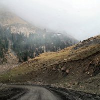 Дорога в туманные горы :: Галина Ильясова