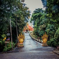 Алея :: Максим 