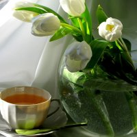 Натюрморт :: жанна нечаева