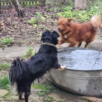 Пробегая мимо... :: Наталья