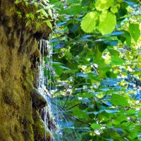 Водопадик :: Павел Трунцев