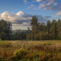 Утро. :: Александр