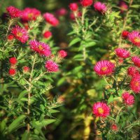 Октябрьские октябринки. :: Лилия *