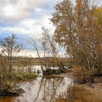 Юнтолово :: skijumper Иванов