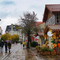 Дождливая осень :: Ольга 