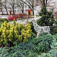 Предпразничная зарисовка :: Veera V