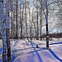 До весны еще далеко! :: Владимир 