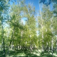 Весна :: Георгиевич