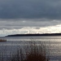 *** :: Ольга Попова (popova/j2011)