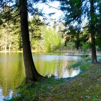 О минувшей осен . :: Милешкин Владимир Алексеевич 