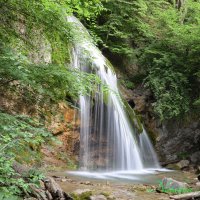 Природа Крыма :: Amazing Cosmea