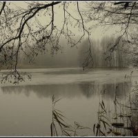 *** :: Aleksandr Gal