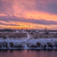 **** :: Елизавета .