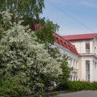 яблони в цвету... :: navalon M