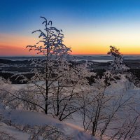 Утренний мороз :: Vladimbormotov 