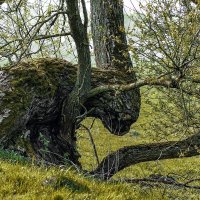 судьба.... :: Владимир Матва судьба.... :: Владимир Матва