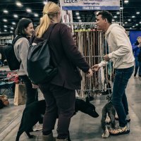 *** :: Александр Русинов