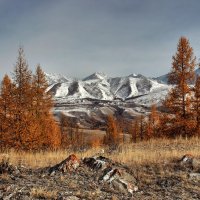 Курайские ландшафты :: елена беликова